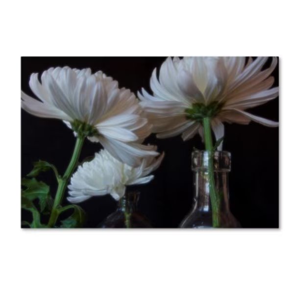 Bob Rouse 'The Cremon Three' Canvas Art, 16x24, Trademark Fine Art, Mfr#: ALI16287-C1624GG